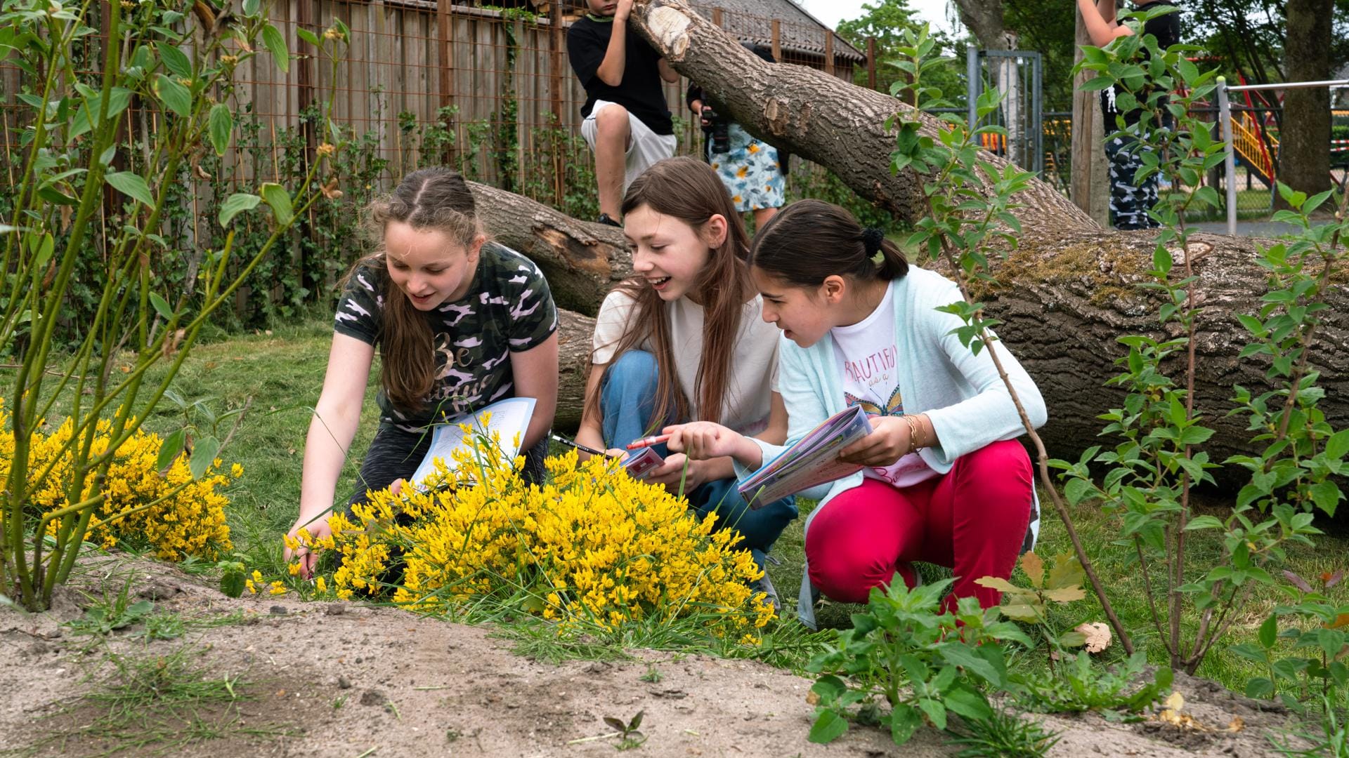 Werkkist en training Educatief gebruik van het groene schoolplein