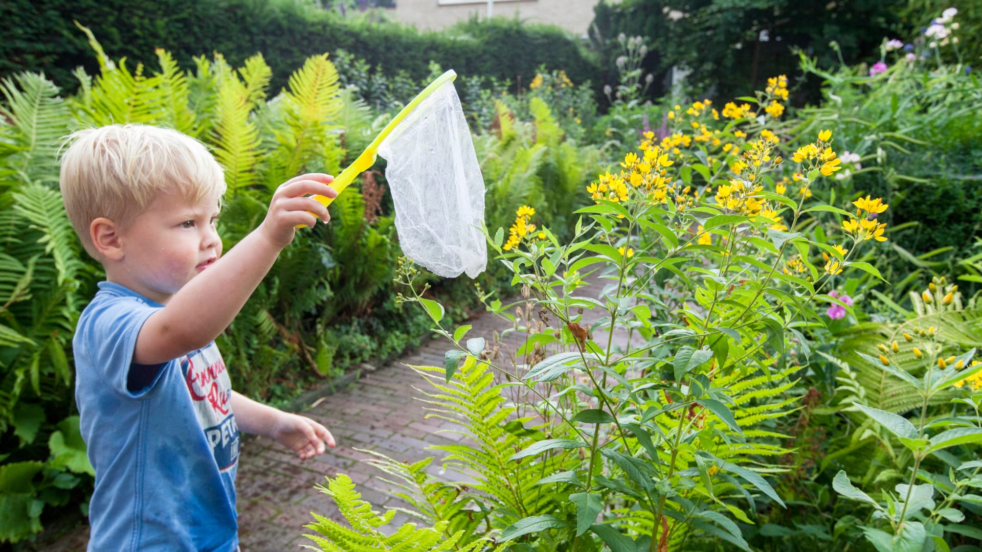 Lees ons digitale magazine Natuur voor Elkaar
