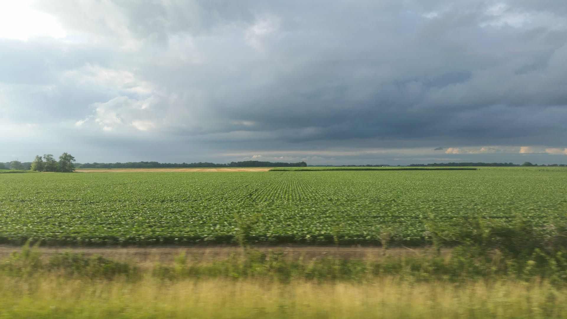 Economie en natuur