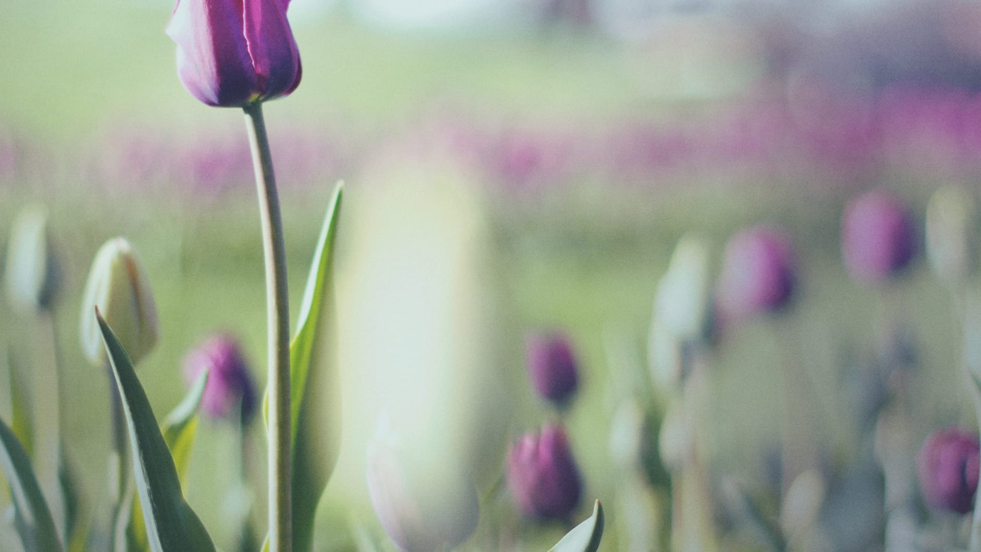 Inspiratie: 'Enthousiasme voor natuur werkt aanstekelijk'