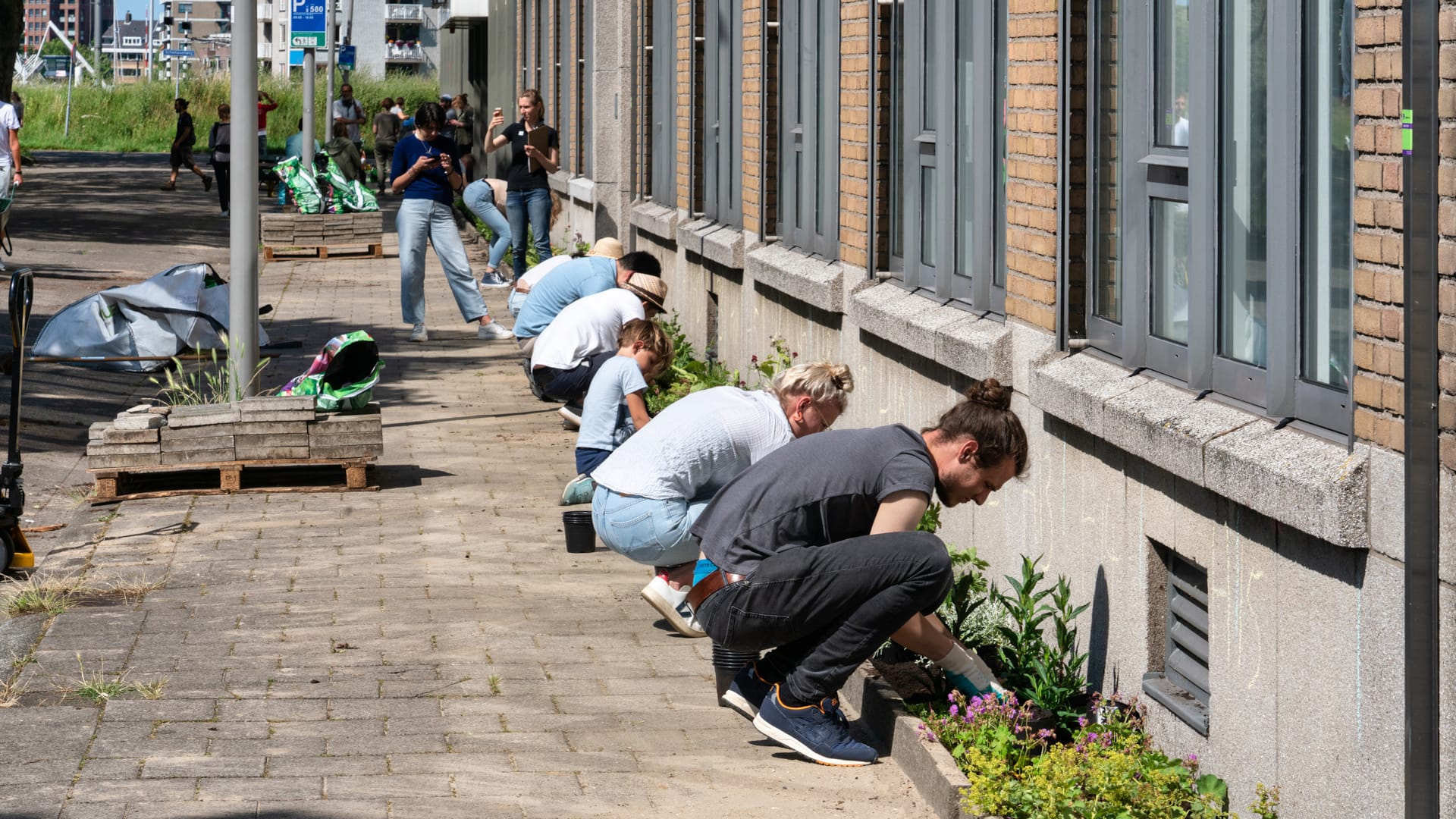 Gratis webinar: Groen in je buurt? Zo doe je dat!
