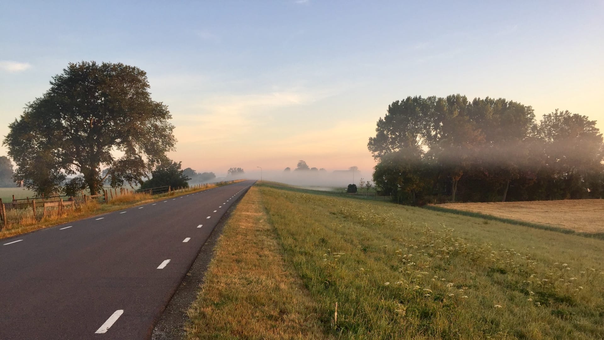 De vier pilots van natuurinclusief werken