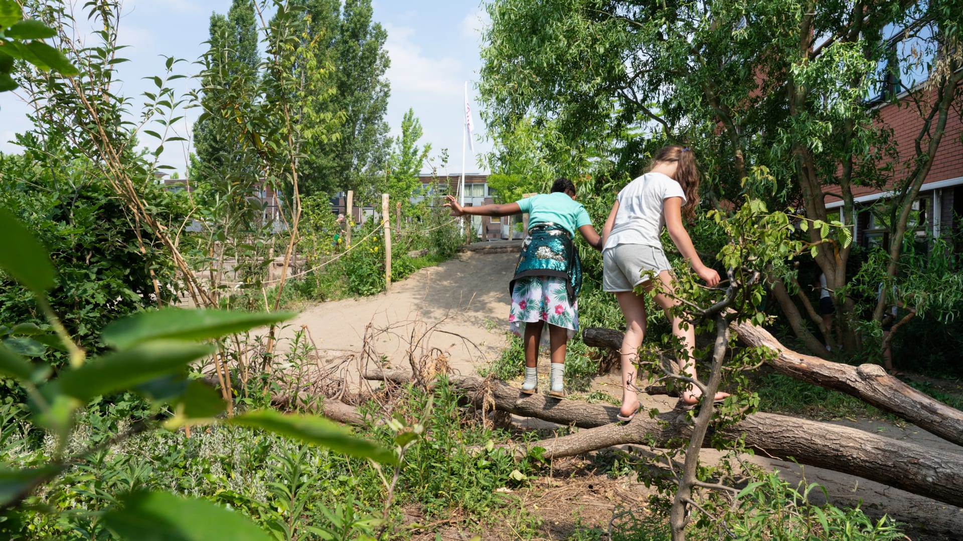 Het 10-stappenplan naar een groen schoolplein