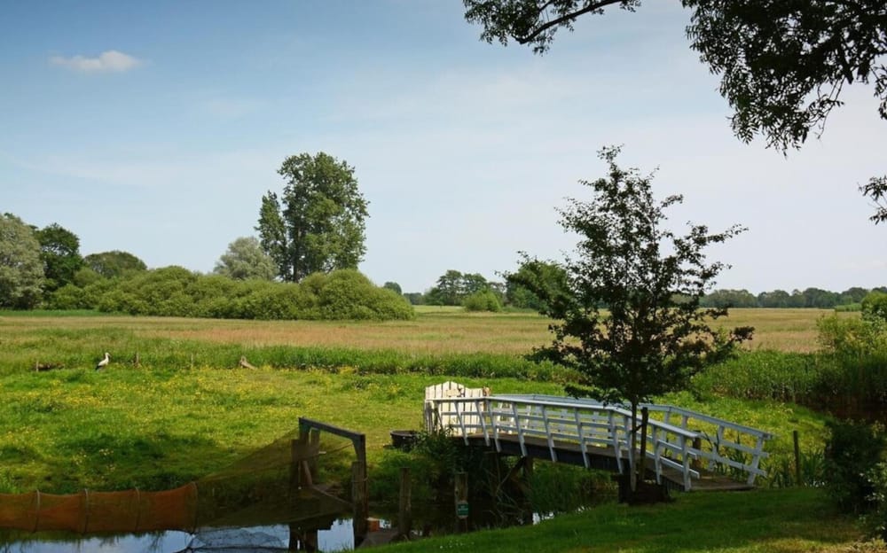 Waarom wij jouw hulp nodig hebben