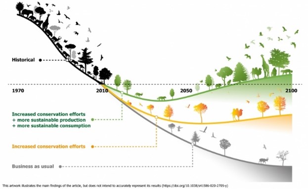 Deze infographic toont de scenario’s om de afname van biodiversiteit tegen te gaan