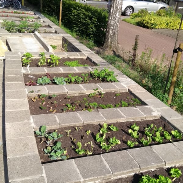 Moestuinbakken op De Rythmeen in Bathmen