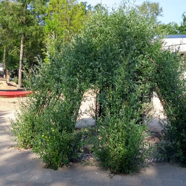 Hut van wilgentenen op De Rythmeen in Bathmen