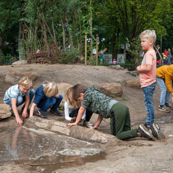 Dammetjes bouwen op de Rythmeen in Bathmen