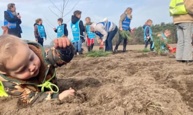 Project ‘Van Zaadje tot Boom’ zoekt bomenconsulent voor basisscholen