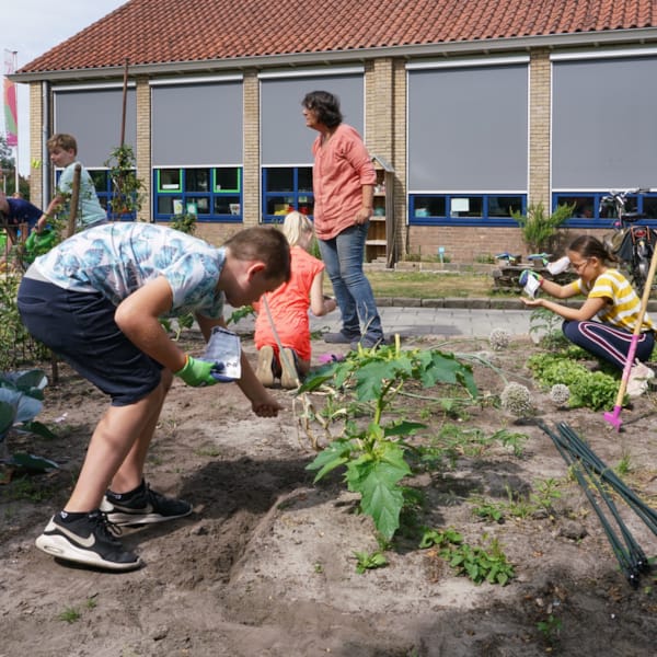 Moestuin van De Kiem in Enschede