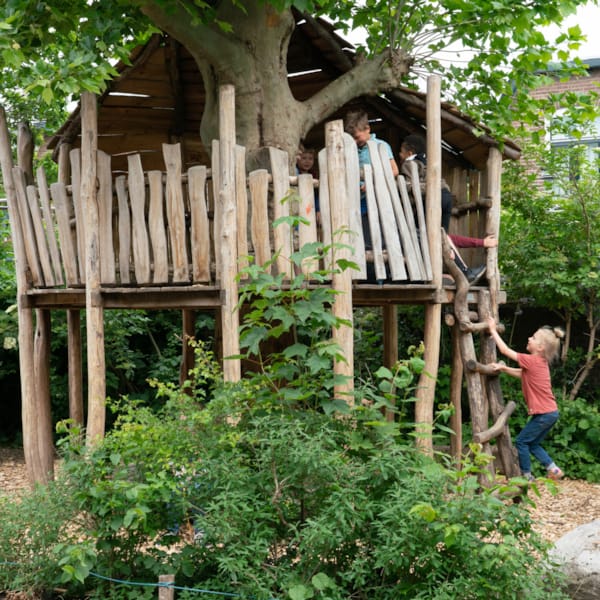 Boomhut op De Kleine Johannes in Deventer 